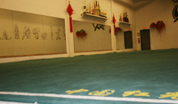 Competition carpet at O-mei Wushu Center